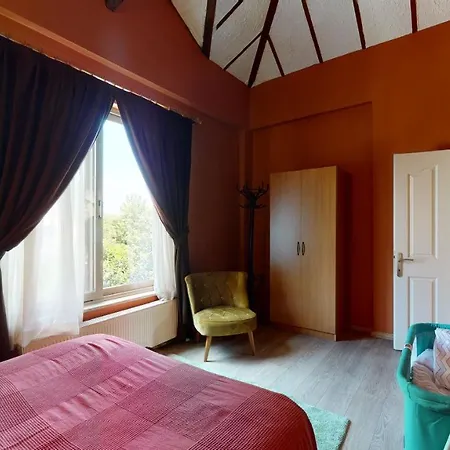 Orange - Sapanca